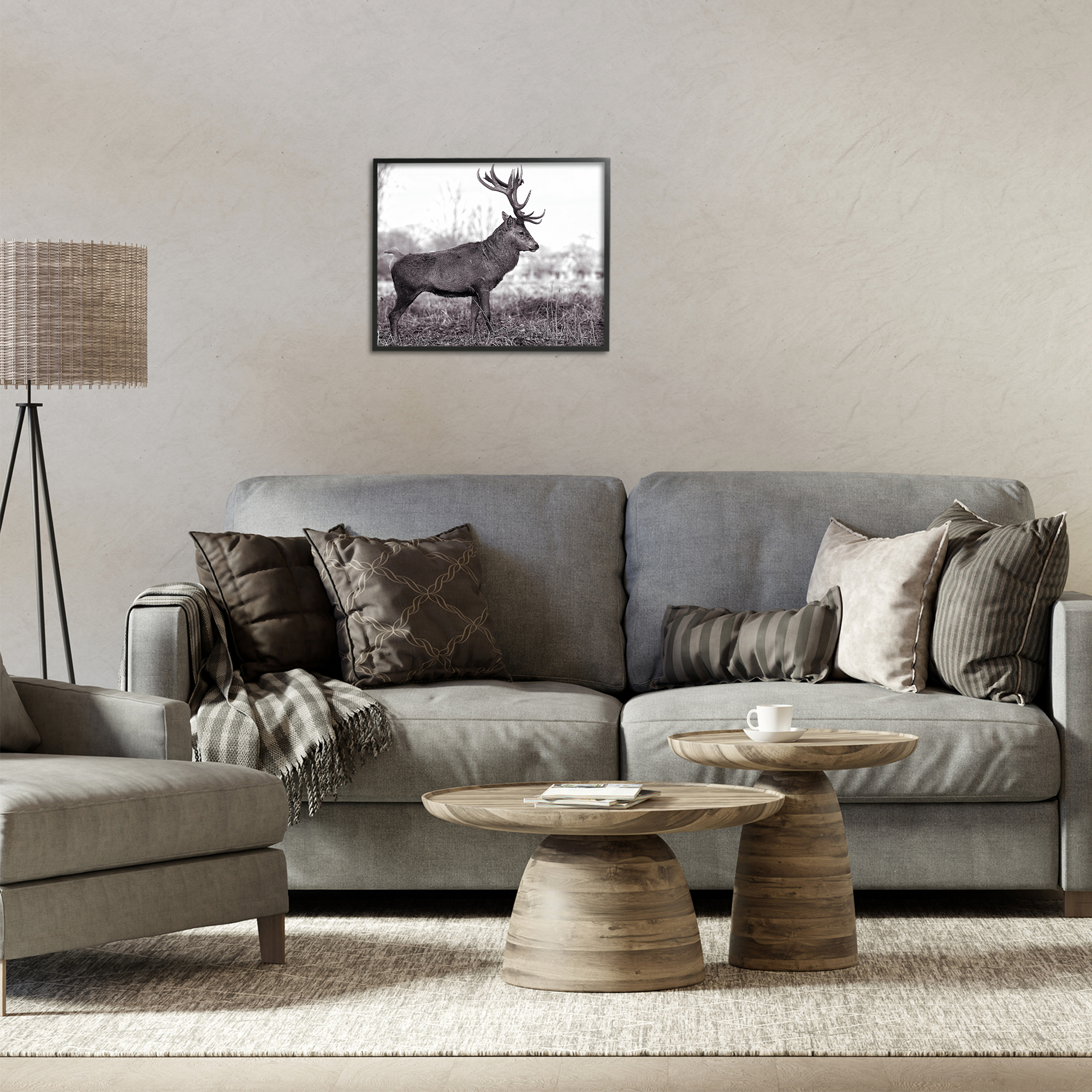 Stupell Industries Elk in Peaceful Forest Animals & Insects Photography Black Framed Art Print Wall Art, 20 x 16
