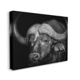 thumbnail image 4 of Stupell Industries Dark Buffalo Photography Animals & Insects Photography Gallery Wrapped Canvas Art Print Wall Art, 40 x 30, 4 of 8