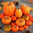 thumbnail image 4 of Clearance Under $9.9! 16PACK Fall Pumpkin Decor Set, Assorted Sizes & Colors for Thanksgiving & Halloween, Resin, (One Size, Orange), 4 of 5
