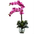 thumbnail image 1 of Double Phal Orchid with Vase Arrangement, 1 of 1