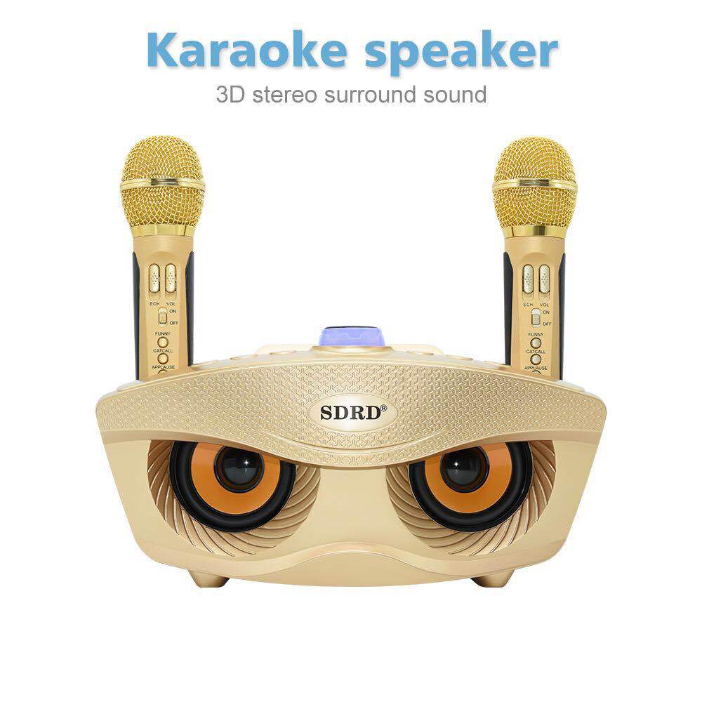 Haut-parleur Karaoké Sans Fil Portable Rechargeable, Haut-Parleur Stéréo Bluetooth 3D avec Microphone Sans Fil