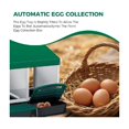 thumbnail image 6 of EastVita 4 Holes Galvanized Steel Chicken Nesting Box-Automatic Roll Out Egg Collection Removable Tray-Weatherproof Wall Mount Laying Box with Perch for Hens-Easy Clean Assemble for Coop-Green, 6 of 7