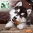 thumbnail image 4 of Nylabone Natural Healthy Edibles Puppy Turkey and Sweet Potato Puppy Chew Treats Regular, 4 of 7
