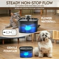 thumbnail image 6 of Veken Innovation Award Winner 95oz/2.8L Pet Fountain, Automatic Cat Water Fountain Dog Water Dispenser with Replacement Filters for Cats, Dogs, Multiple Pets (Space Black, Plastic), 6 of 9