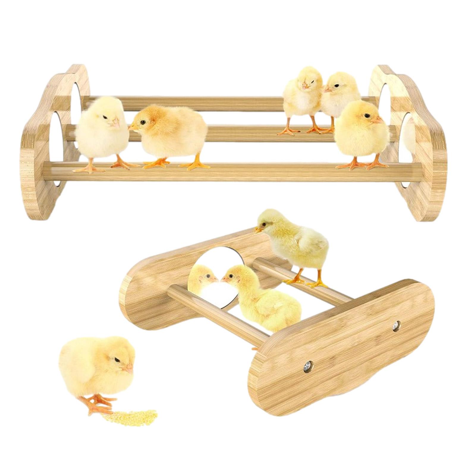 Chicken Perch Pole Brooder Box For Chicks With Mirror Wood Mini