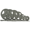 thumbnail image 3 of FlexWave Tri-Grip Cast Iron Plate Weight Plate for Strength Training, Weightlifting and Crossfit, 1-Inch, 2.5lbs Pair, 3 of 3