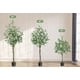 thumbnail image 5 of 4 - foot artificial eucalyptus tree con pot: high - quality fake plant para home y oficina decoration, 5 of 5