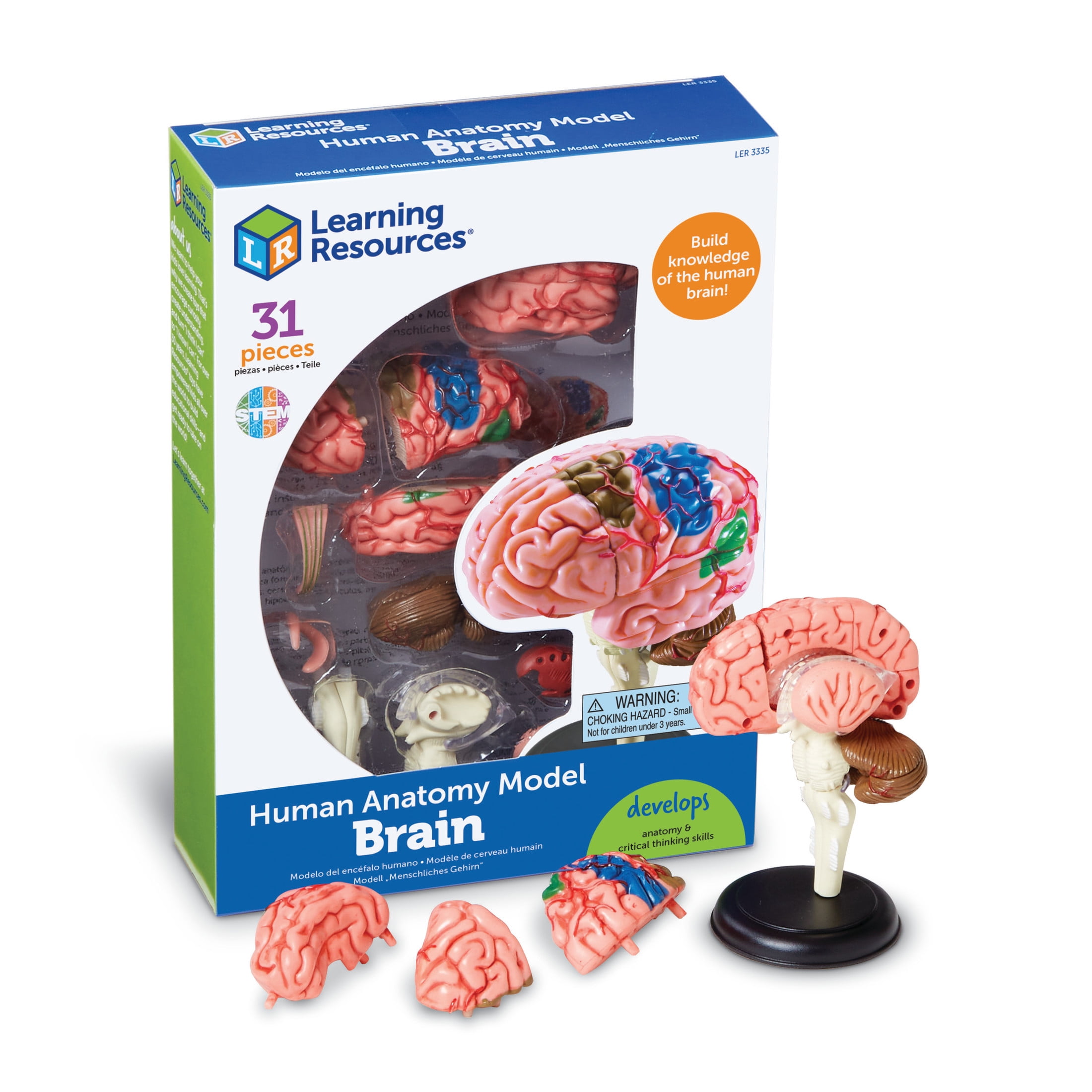ANATOMY FOR BEGINNERS 4枚セット Learning Resources Anatomy Models Bundle Set 4 STEM Teacher