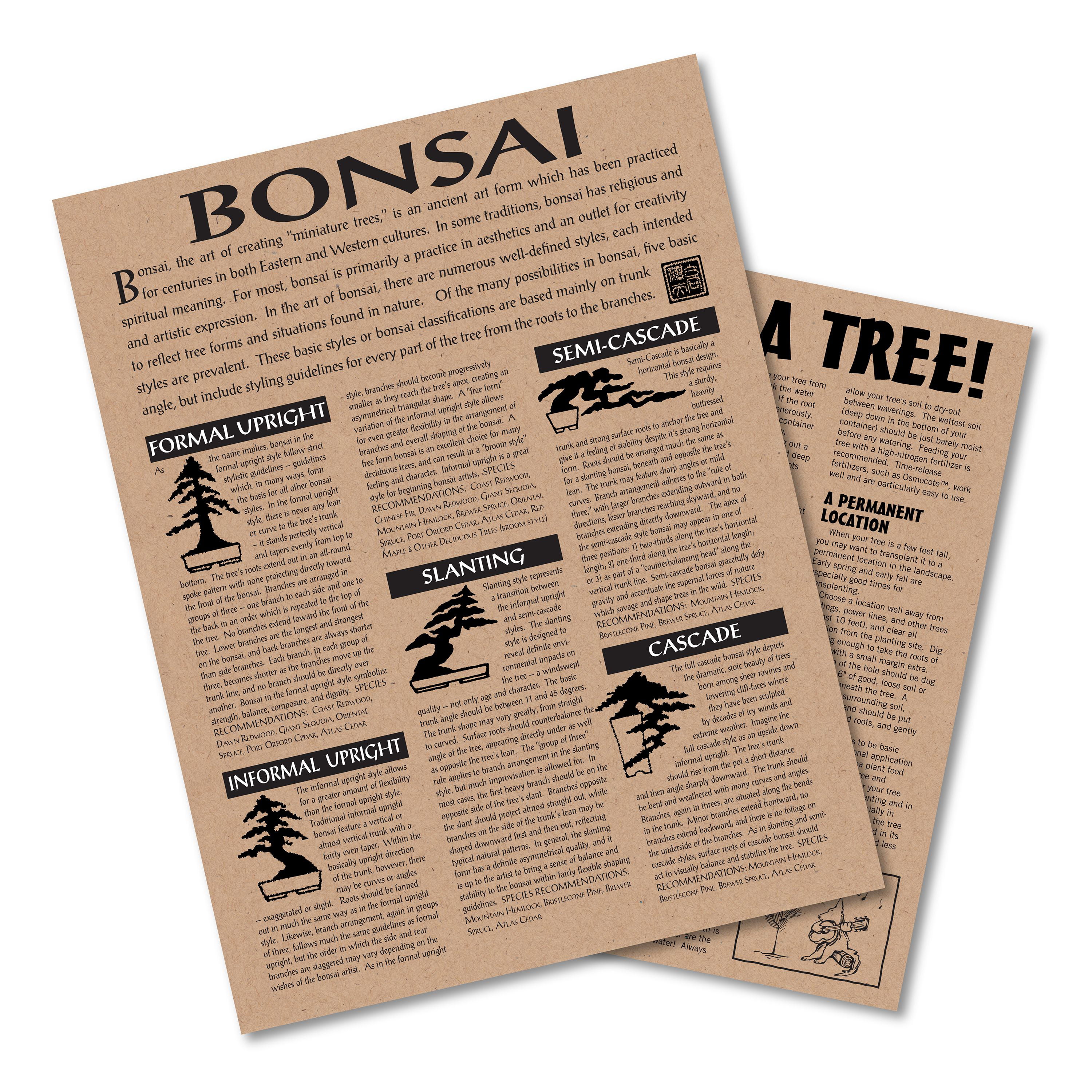 Bonsai Tree Japanese Maple Seed Grow Kit The Jonsteen Company Walmart Com Walmart Com
