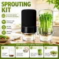 thumbnail image 2 of Sprouting Jar Kit Include 1000ml Sprouting Jar, Stand, Tray, Lid for Broccoli Microgreens Seeds, 2 of 9