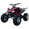 Coolster 150cc ATV 3150CXC (Full-Size)
