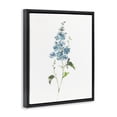 thumbnail image 2 of Stupell Industries Transitional Natural Spring Herbs Black Floating Frame Canvas Art, 25 x 31, by Sally Swatland, 2 of 8