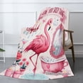 thumbnail image 2 of Joocar Flamingo Pink Bath Scene Fleece Throw Blanket You Sassy Thing For Winter Gift Home Sofa Bed Decoration 40x50 inch, 2 of 5