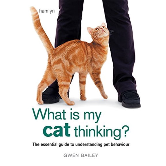 Pre-Owned What Is My Cat Thinking?. Gwen Bailey (Hardcover) 0600619761 9780600619765