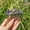 Rainbow Titanium, variant on HOOUN Natural Crystal Quartz Bride Women Witch Tree Branches Wired 20 Teeth Hair Comb -Rainbow Titanium