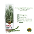 thumbnail image 2 of Romero Orgánico Campo Vivo 50 g, 2 of 8