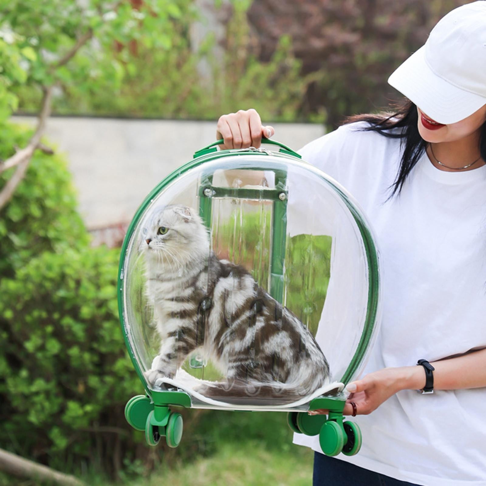 Vetreska Partially Transparent Bubble Luggage for Pets- Green Color