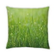 thumbnail image 2 of Ahgly Company Plants Grass Oreiller Extérieur 18 Pouces par 18 Pouces, 2 of 6