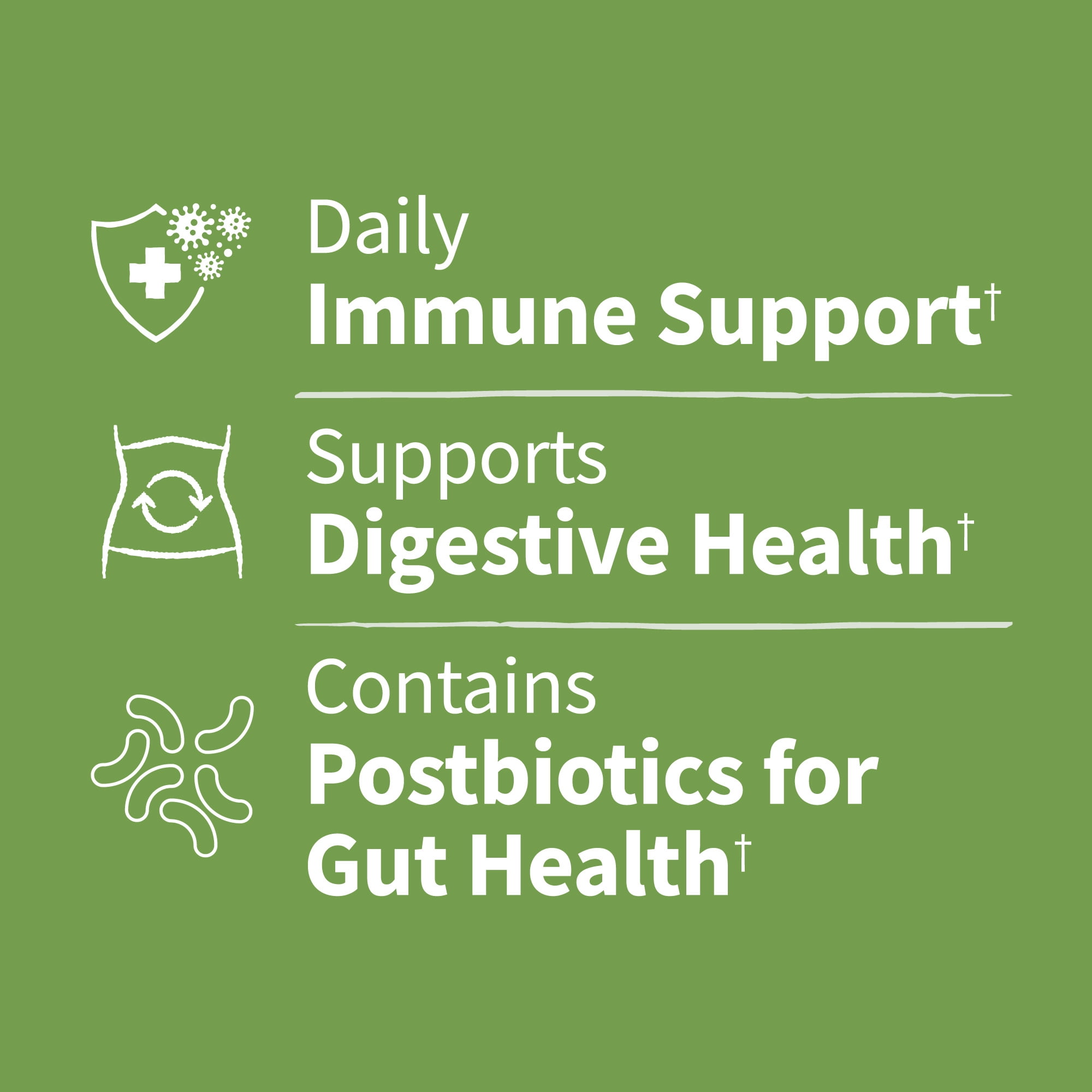 Garden of Life Dr. Formulated Digestive & Immune Care Probiotic Capsules with Zinc and Vitamin D, 40 Billion CFU, 30ct Capsules