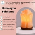 thumbnail image 6 of Spantik Natural Himalayan Salt Lamp Electric | Hand Carved Flower Pink Crystal Rock Salt from Himalayan Mountains | Sourced from Pakistan, 6 of 7