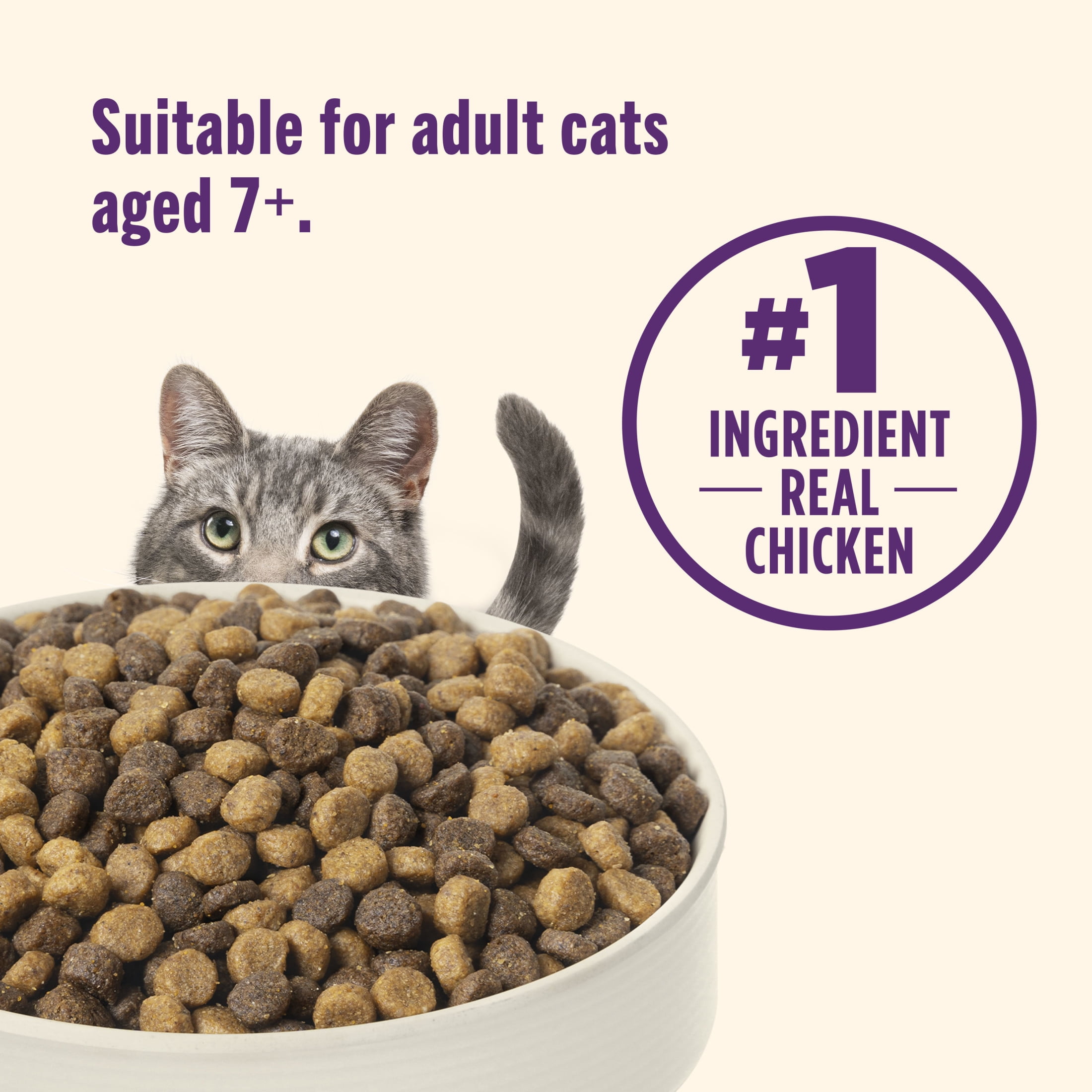 Nutrish Senior Healthy Aging Chicken, Chickpea and Salmon Dry Cat Food, 3 lb. Bag (Rachael Ray)
