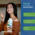 thumbnail image 3 of Andrographis 1200mg - Paniculata Immune Support Formula - 120 Vegan Capsules - Natural Cure Labs, 3 of 10