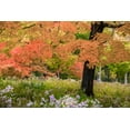 thumbnail image 2 of Varona, Verne 24x17 Gold Ornate Wood Framed with Double Matting Museum Art Print Titled - Autumn Splendor, 2 of 4