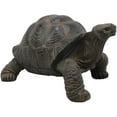 thumbnail image 2 of Ebros Lifelike Galapagos Tortoise Statue 6.5" Wide Lucky Zen Turtle Figurine, 2 of 6