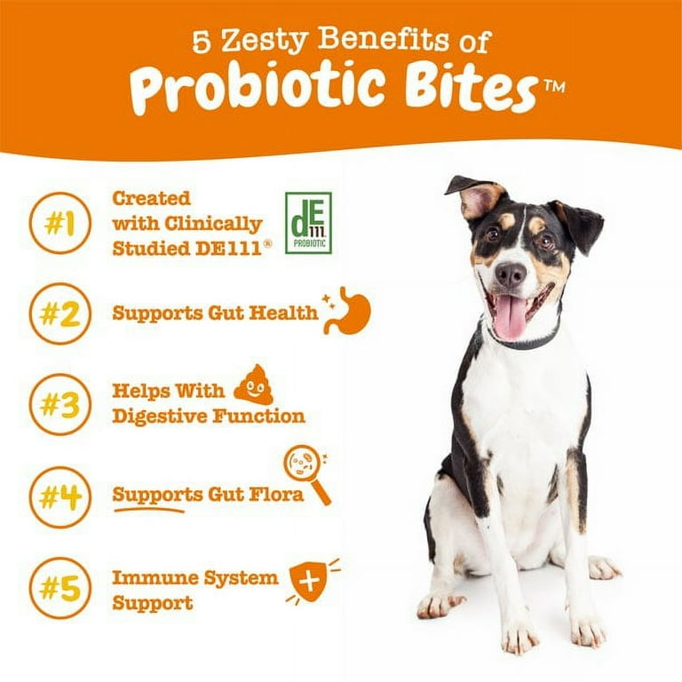 Zesty hotsell paws probiotic