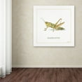 thumbnail image 3 of Trademark Fine Art "My Greenhouse Grasshopper" Canvas Art by Lisa Audit, 3 of 3
