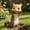 Brown, variant on Squirrel-Shaped Outdoor Feeder, Whimsical Animal Garden Feeding Station and Yard Ornament, Decorative Wildlife Accessory for Patio, Lawn, Tree and Backyard, Black
