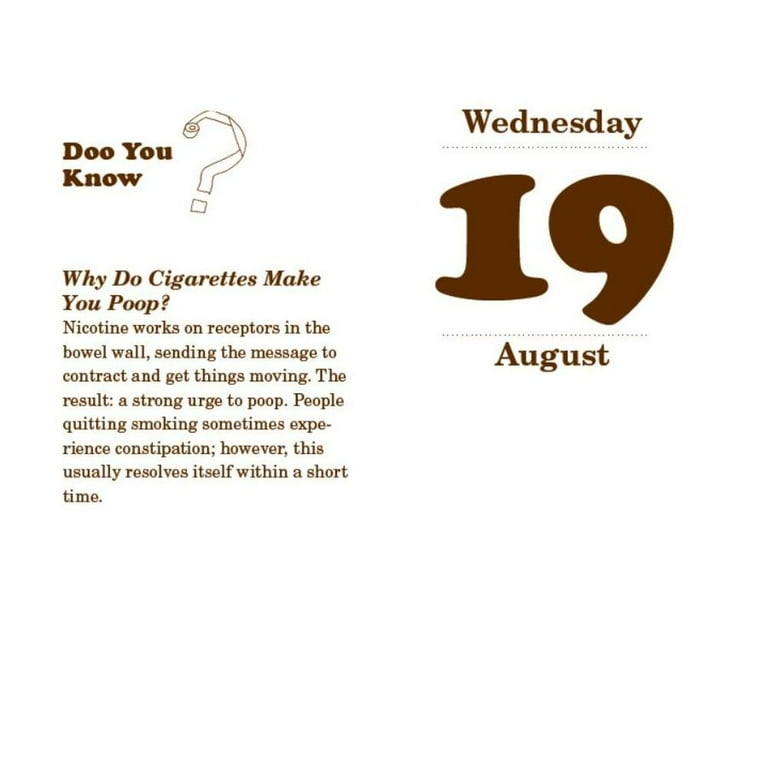 What's Your Poo Telling You 2020 Daily Calendar (2020 Daily