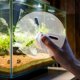 thumbnail image 1 of Nestingho De Acrílico Clara Para Acuario Con Función Antisalto Ideal Para Pequeños, 1 of 8