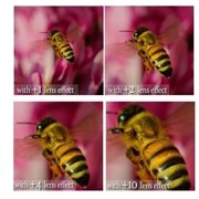 4-Pcs Macro +1+2+4+10 Close-Up Lens Set For Sony Alpha A6500 ILCE-6500 (40.5mm compatible)