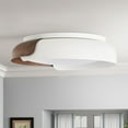 thumbnail image 3 of Aiwen Brown and White Flush Mount Ceiling Lamp Minimalist Modern Light Fixture for Bedroom Hallway Kitchen Living Room, 3 of 8