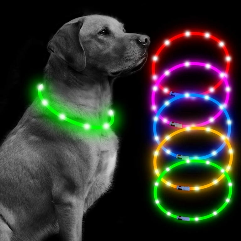 Target dog cheap collars