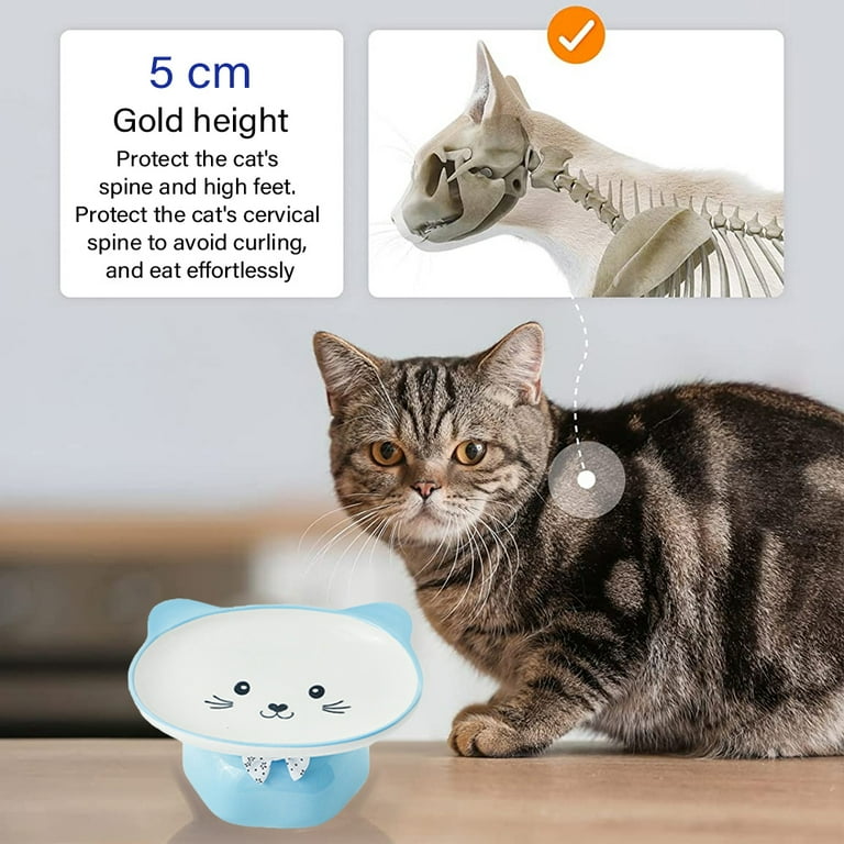 CEEFU 2 Extra Wide Raised Cat Food Bowl, Elevated Anti-Vomiting Cat Feeder  Whisker Stress-Free Dog Two Bowls Ceramic Cat Feeding Bowls White