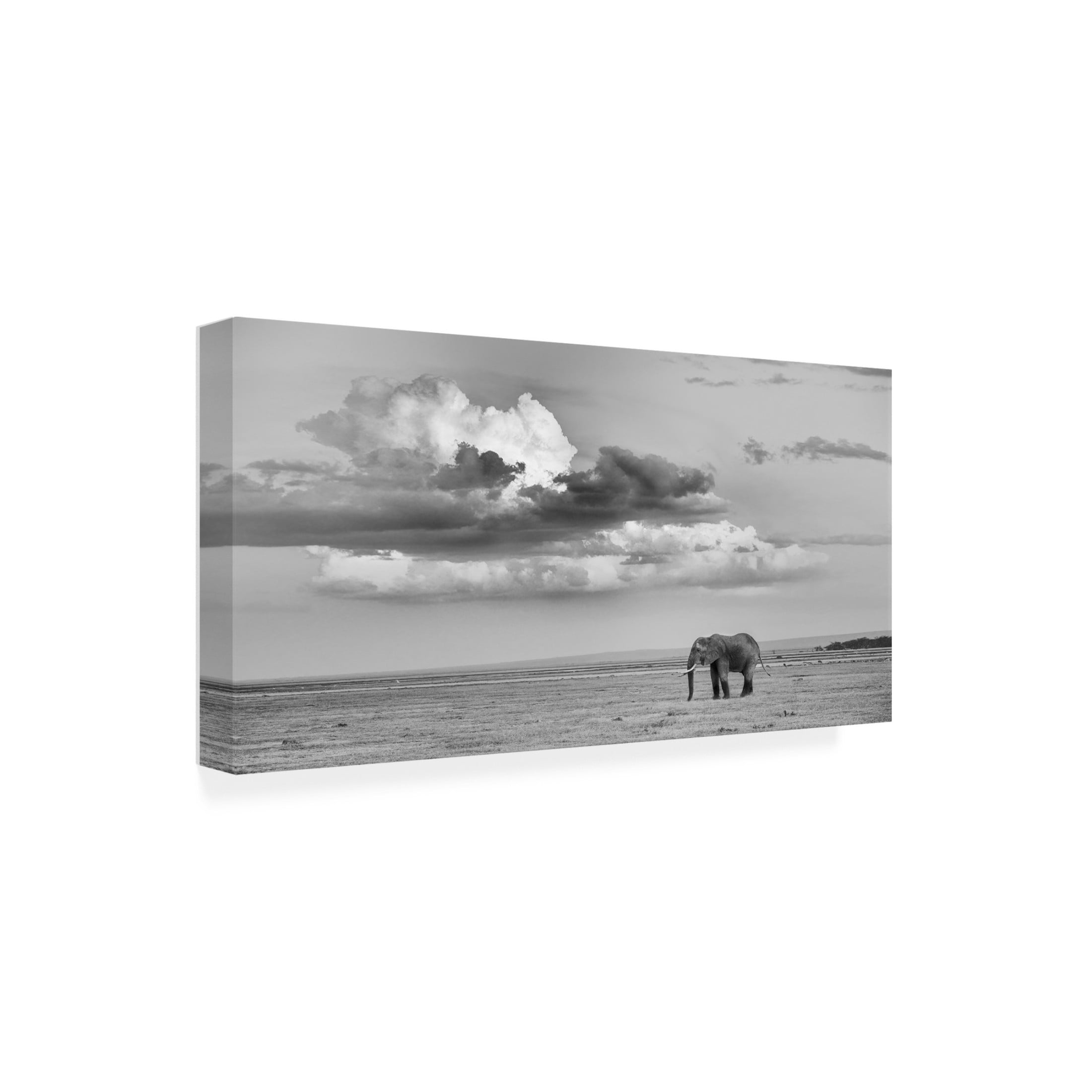 Trademark Fine Art Siyu and Wei Alone Canvas Wall Art