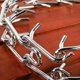 thumbnail image 2 of Cadena de adiestramiento para perros, de acero inoxidable, ajustable y desmontable, collar de adiestramiento para mascotas, 2 of 5
