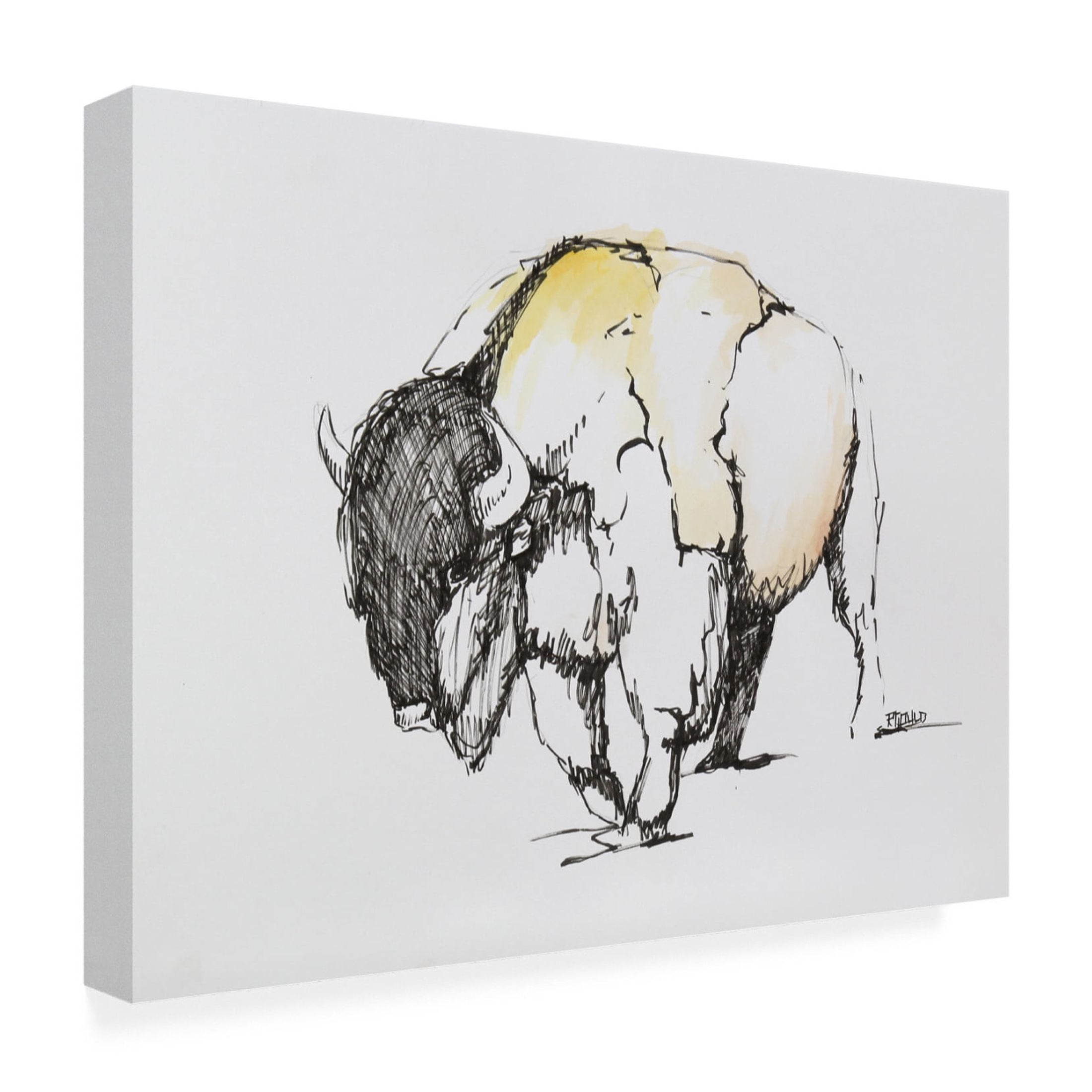 Canvas Wall Art - Renee Gould 'Struttin' Wall Art for Living Room, Bedroom, or Office Décor by Trademark Fine Art - 32 x 24 Inches