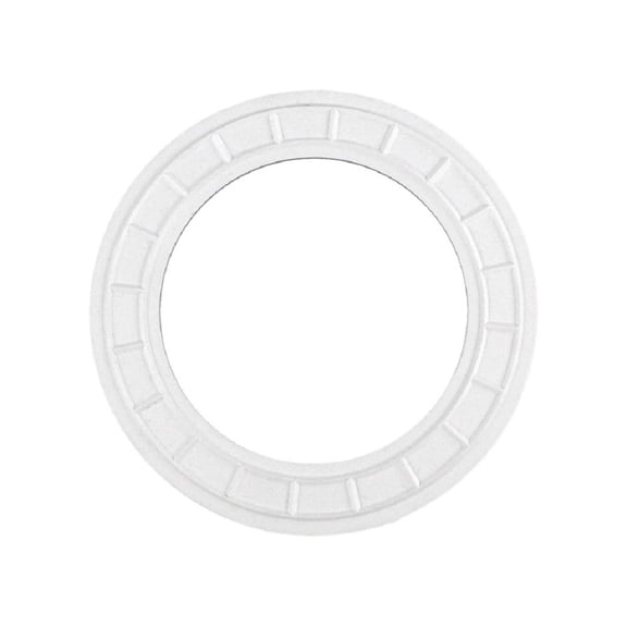 Pentair 87200700 Friction Ring SIF