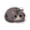 Gray, variant on Cute Cat Compressed Wood Pulp Sponge Reusable Dishwashing Sponge Expanding Scouring Pad Cleaning Brush for Pots and Pans Kitchen, 3.5x2.8 in