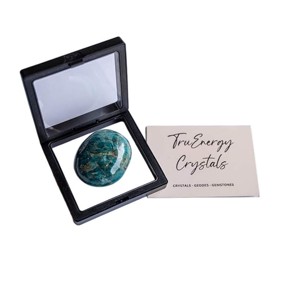 TruEnergy Blue Apatite Palm Stone - 2"