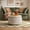 Pearl White, variant on Luna Storage Ottoman, Olive Green Velvet