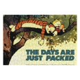 thumbnail image 3 of 200 PCS Jigsaw Puzzle - Calvin And Hobbes Puzzle Enthusiasts, 3 of 8