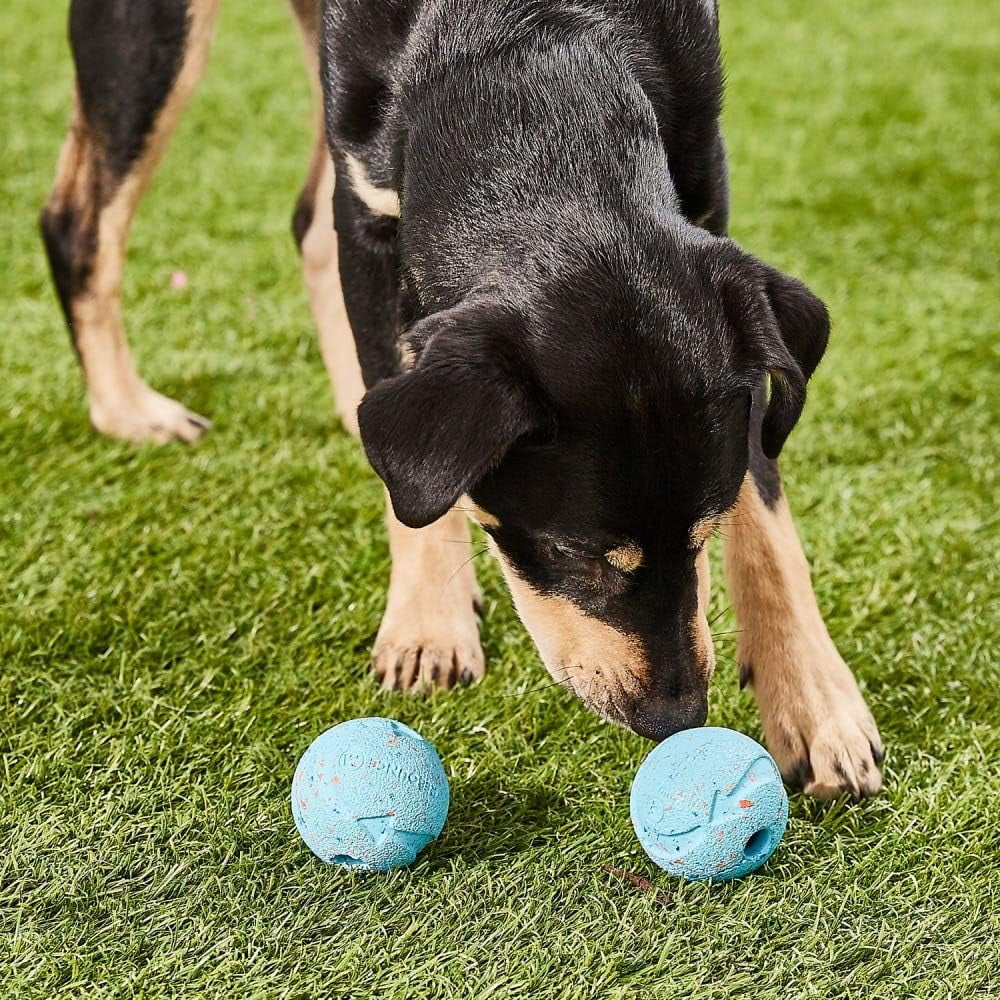 (3 pack) Chuckit! Rebounce Dog Ball Ecofriendly Rubber Fetch Toy For Dogs, Medium 2.5", For Breeds 20 to 60 lb, Pack of 2, Bright Blue
