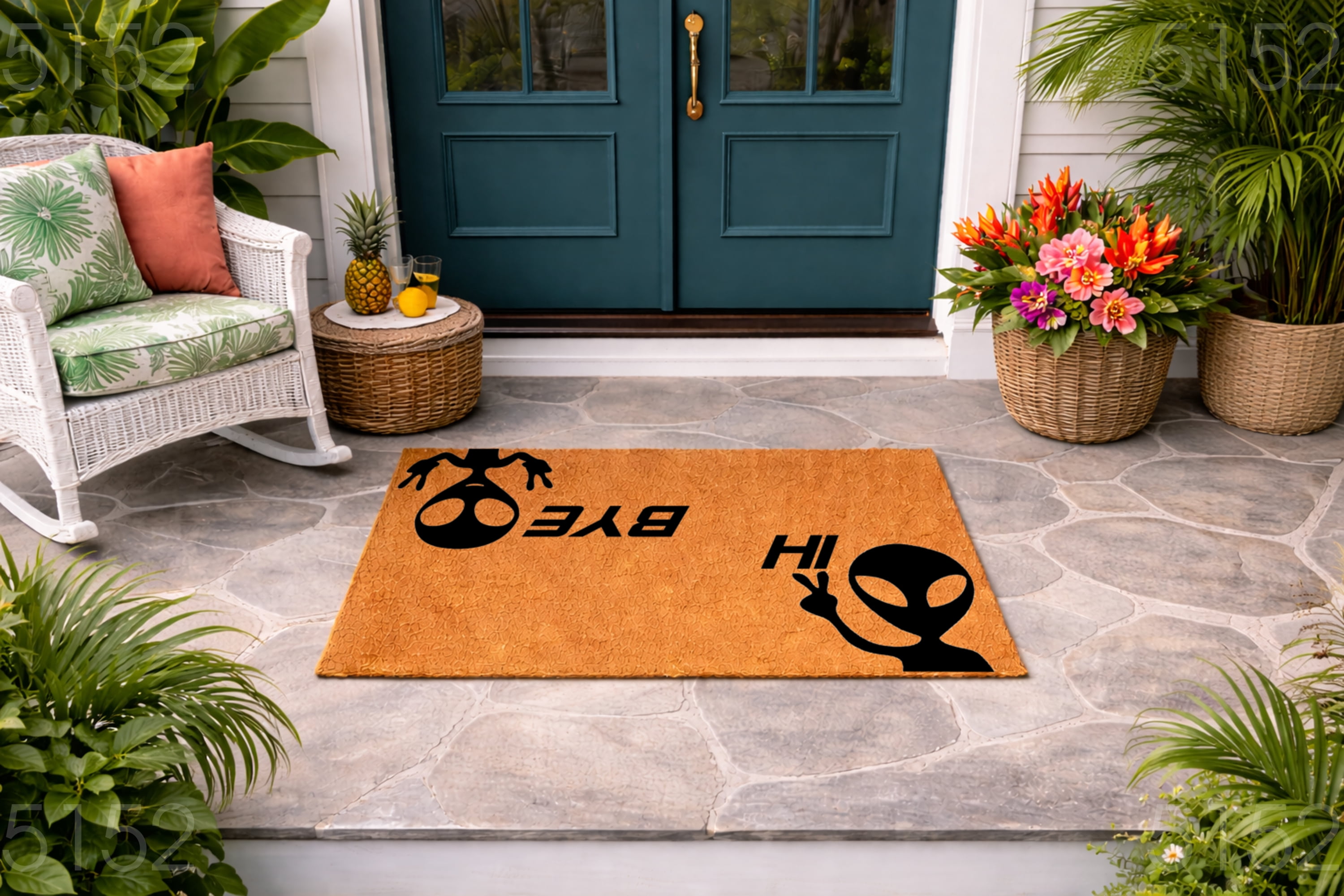 Hi Bye Alien Graphic Doormat, Funny Entryway Welcome Mat, Outdoor Indoor Door Mat (24x36 inches) WoodByStu 5152