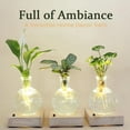 thumbnail image 3 of LED Hydroponic Vase - Round Glass Desktop Terrarium with Waterproof Lighted Wooden Base, Visible Root Growth Planter for Indoor Plants, Home Office Decorative Lighted Plant Vase, White, 3 of 8