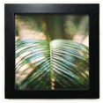 thumbnail image 1 of Green Leaf plant Foto Naturaleza Mesa de pared con marco cuadrado negro, 1 of 4