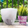 thumbnail image 5 of Protective cover 80x60 cm hood winter winter protection, fleece protective cover for potted plants made of fleece as winter protection, 5 of 5